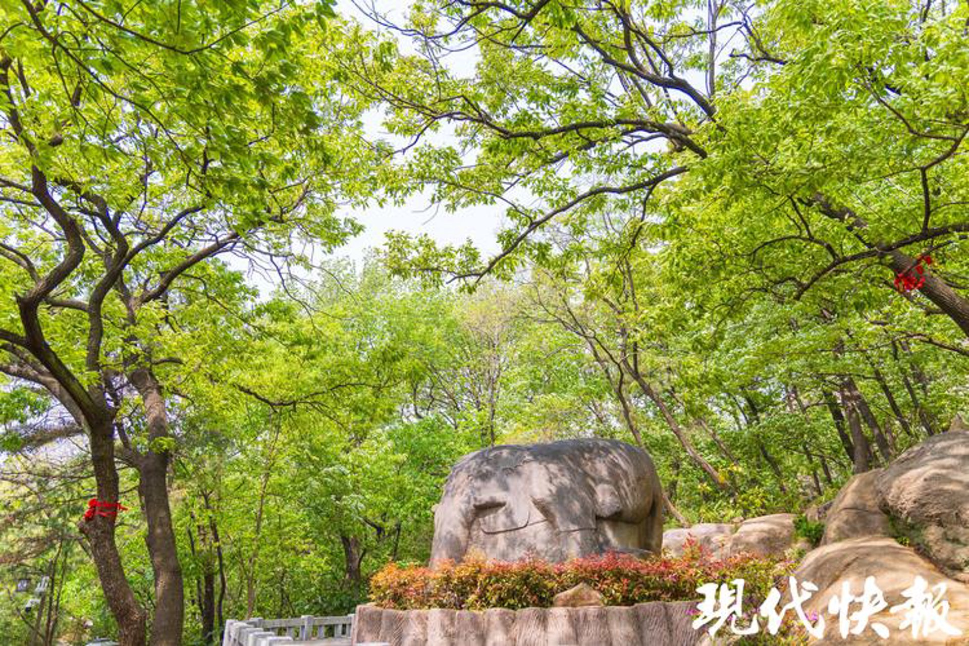 孔望山景区